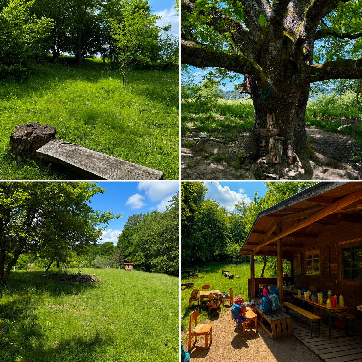 Einblicken vom Schützenberg, große Eiche, Schutzhütte, Wiese