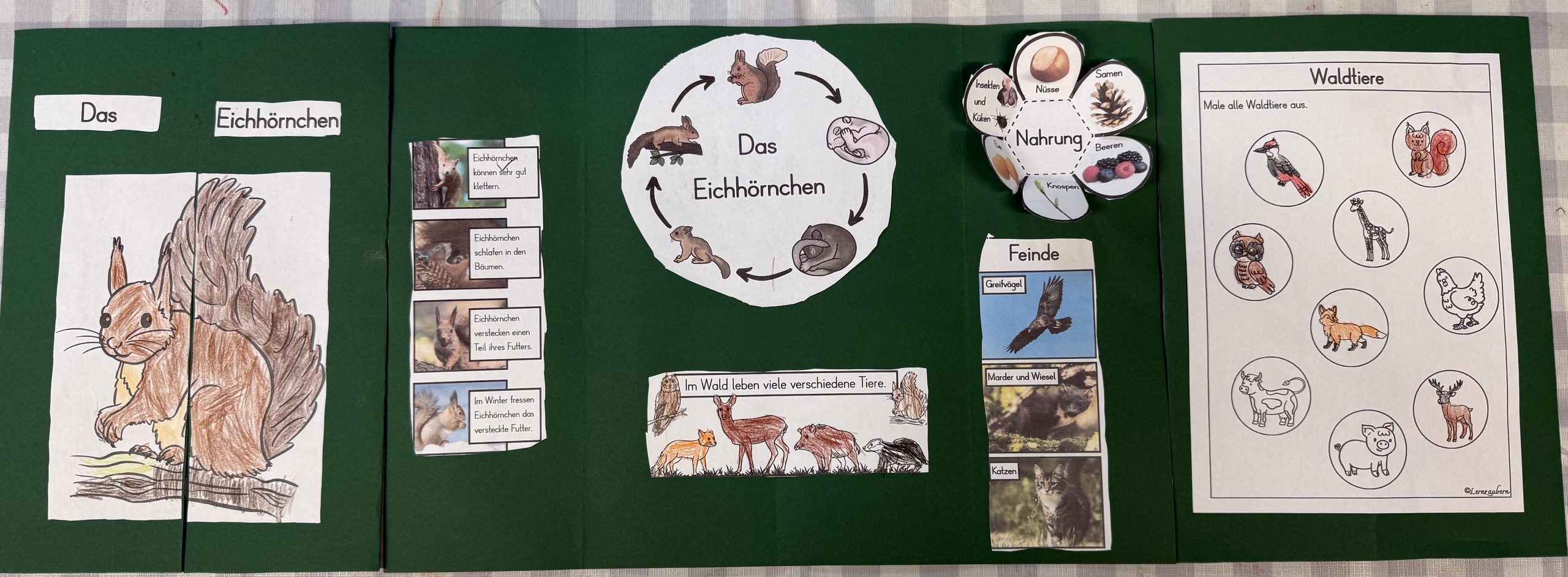 Booklet über Eichhörnchen mit Informationen über das Tier