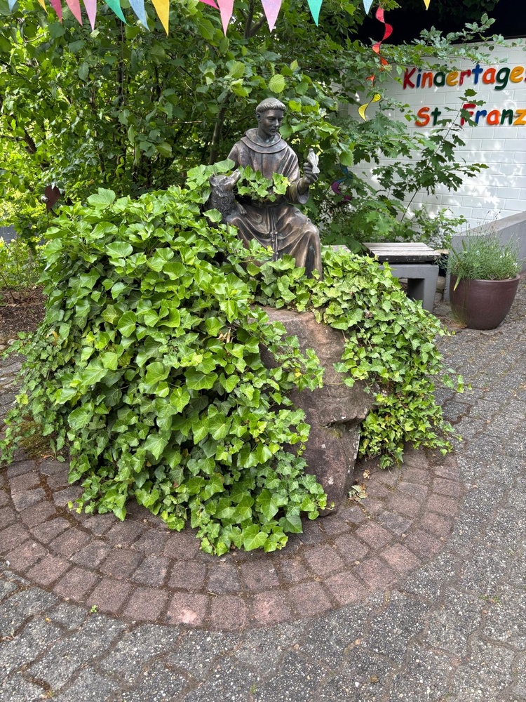 Die Statue von St. Franziskus, einem Wolf und einem Vogel der bei ihm auf der Hand sitzt, vor unserem Kindergarten, bewachsen mit Efeu.
